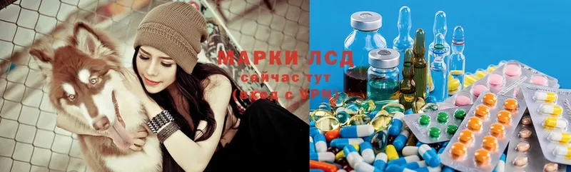 ЛСД экстази ecstasy  Буйнакск 